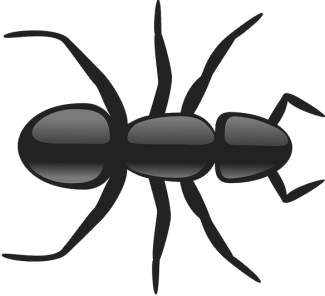 Hormiga1.png